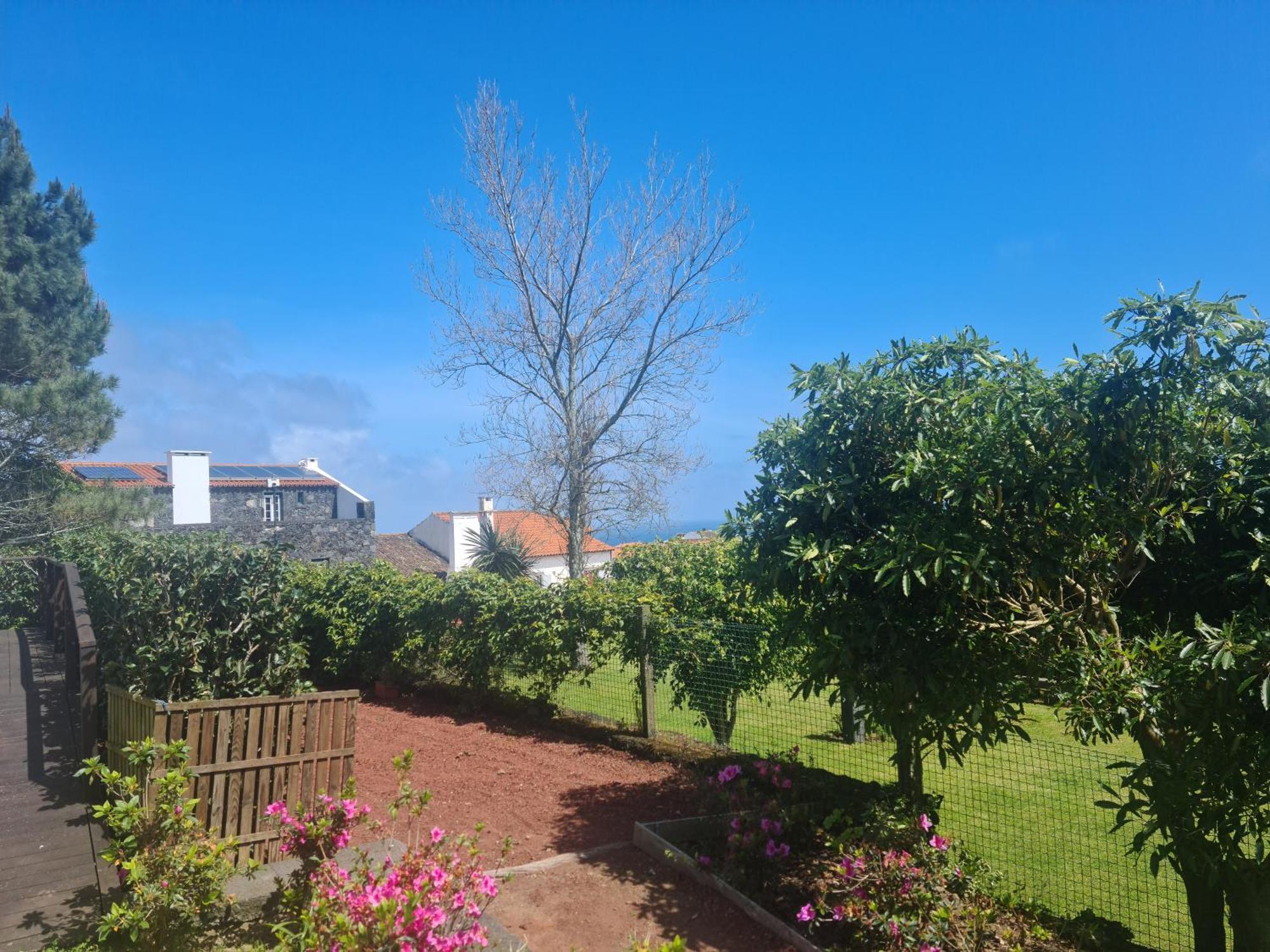 Stonewood Lodge Al Sao Vicente Ferreira Luaran gambar