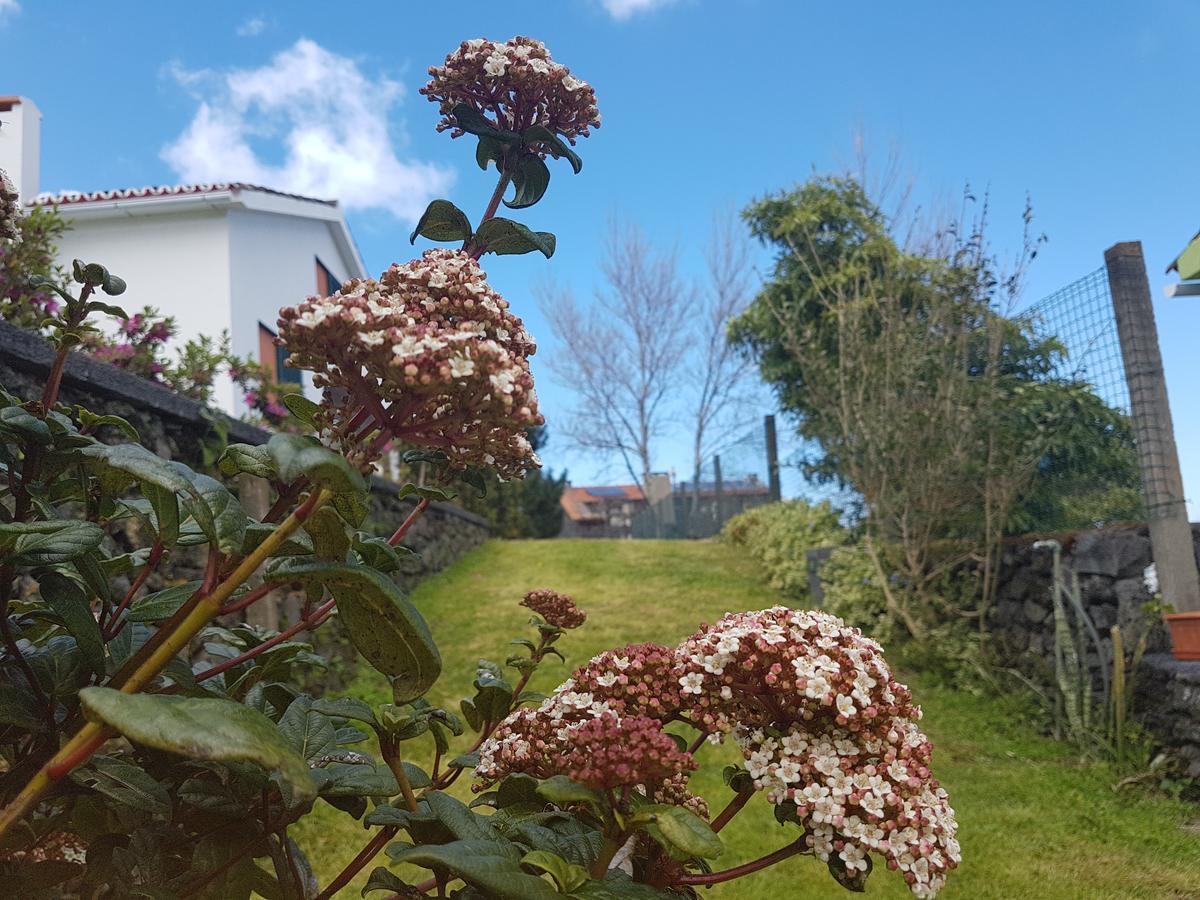 Stonewood Lodge Al Sao Vicente Ferreira Luaran gambar